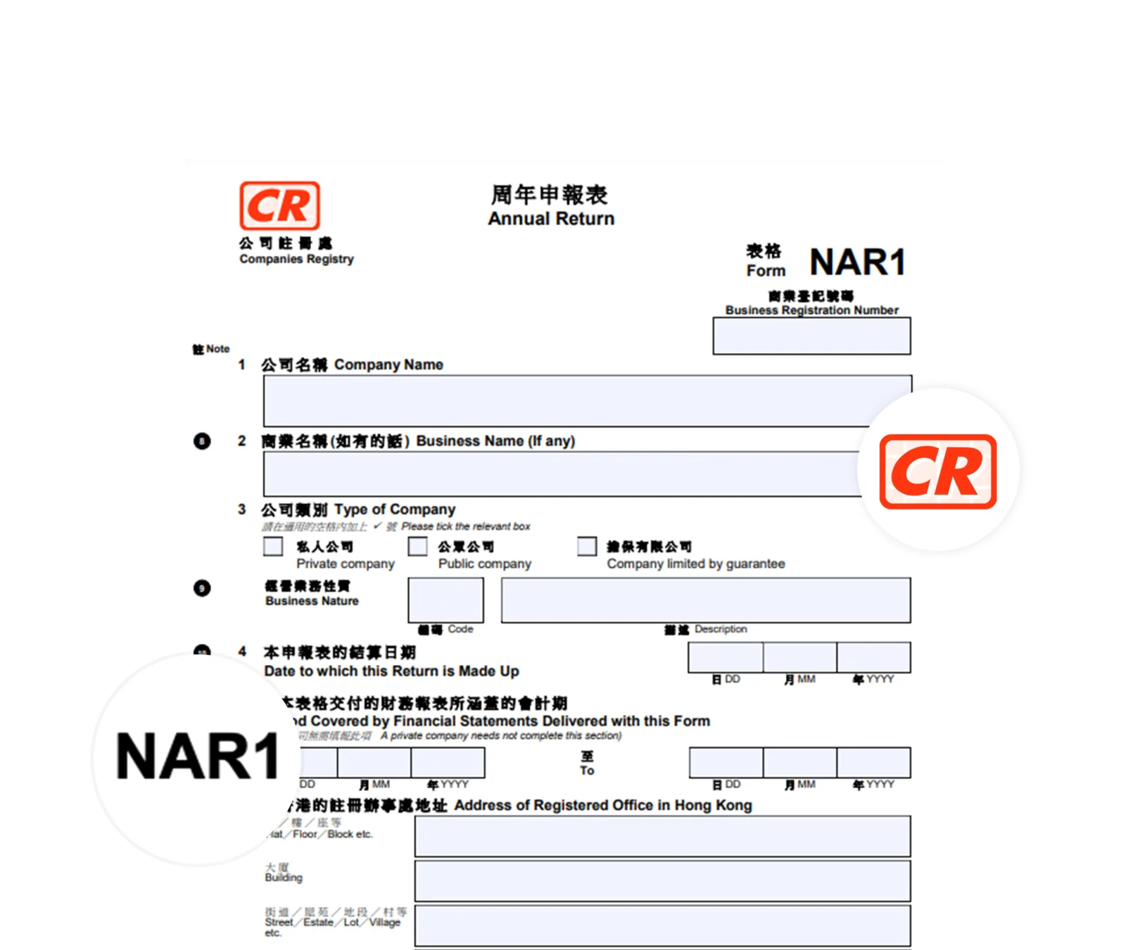 Annual Return NAR1 Filing Service